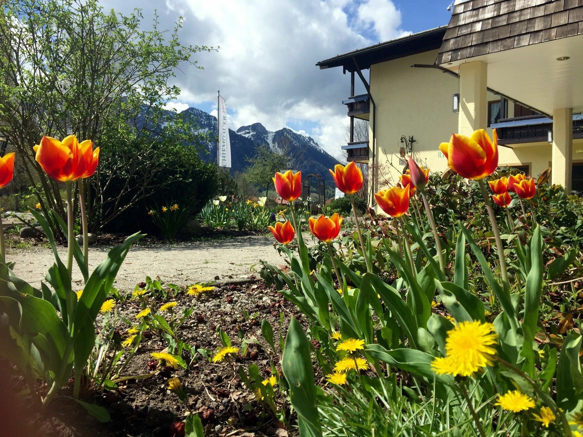 Das Wiesgauer - Alpenhotel Inzell Eksteriør billede